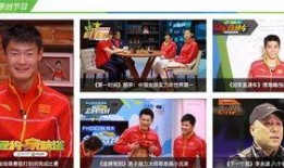 冠军爆料视频2023,幕后故事与心路历程